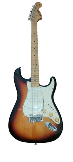 SUNBURST BODY PAU...