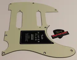 PLUS PICKGUARD GUITAR