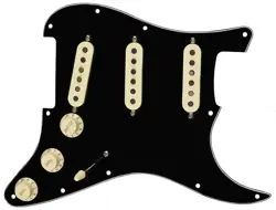 PICKGUARD TEX