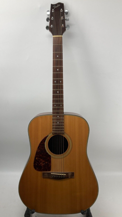 FENDER ACOUSTIC GUITAR F-210LH