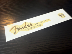 1962 1964 FENDER