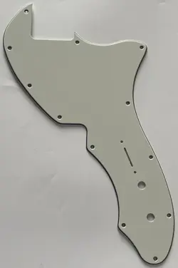 FENDER THINLINE/TELE 69