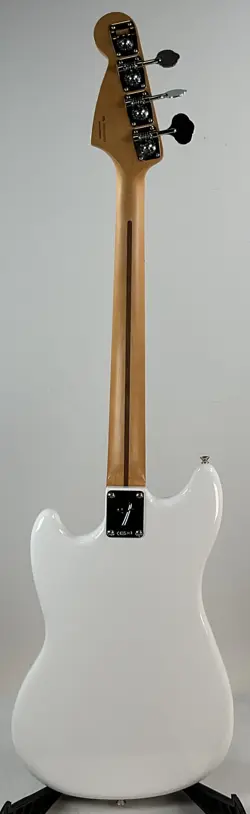 SOLIDBODY BASS