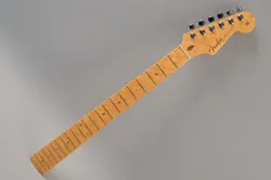 STRATOCASTER BIRDSEYE MAPLE