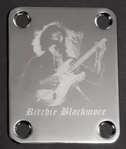 FITS FENDER RITCHIE