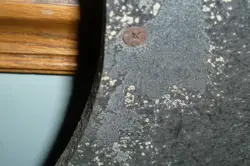 1966-67 FENDER AMPLIFIER