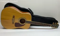 FENDER DG-100 ACOUSTIC