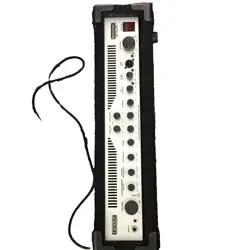 FENDER BASSMAN 250 HEAD AMPLIFIER