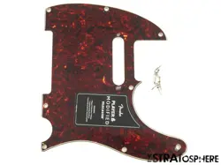 GUITAR TELE TORTOISE