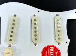 LOADED SSS PICKGUARD