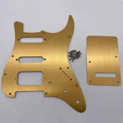 PICKGUARD AND BACKPLATE
