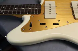 ANODIZED PICKGUARD VINTAGE