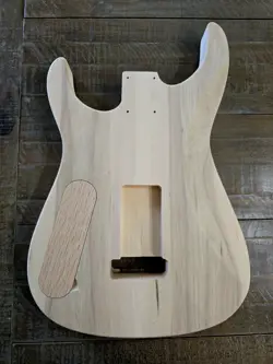 STRAT-STYLE GUITAR