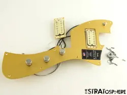 METEORA LOADED PICKGUARD