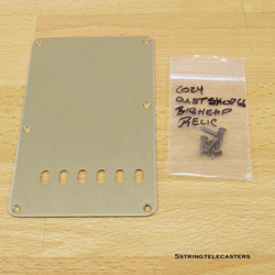 FENDER CUSTOM SHOP RELIC STRATOCASTER GOLD ANODIZED TREMOLO COVER BACK PLATE