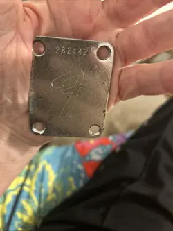 PLATE 1969 STRATOCASTER