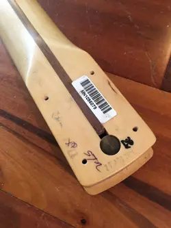 ANNIVERSARY MAPLE NECK