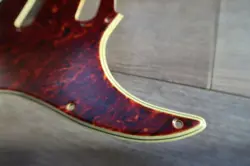 CELLULOID TORTOISE USA