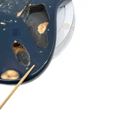 SQUIER BULLET HARDTAIL