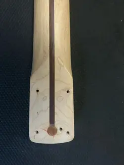 STRATOCASTER ROSEWOOD GUITAR