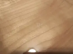 SQUIER FENDER VINTAGE