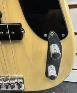 TRADITIONAL PRECISION BASS