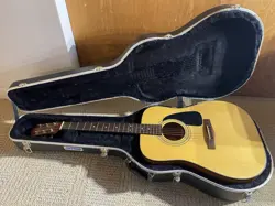 SKB ACOUSTIC DREADNOUGHT GUITAR HARD CASE WITH FENDER DG-8S NAT