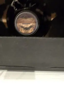 CHAMP SILVERFACE AMP