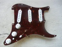 NOISELESS PICKUPS LOADED