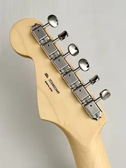 FENDER PG