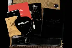 STRATOCASTER GOLD LEAF