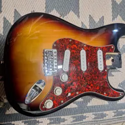 WITH LOADED PICKGUARD