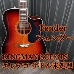 GUITAR SUNBURST CATTLE