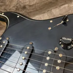 FSR STANDARD STRAWCASTER