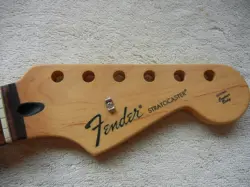 FRETBOARD MIM 2009