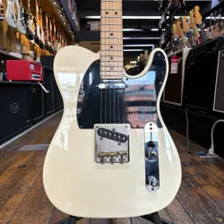 W/LOCKING TUNERS CASE