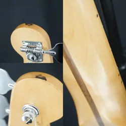 BASS TIDEPOOL SLIGHTLY