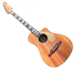 GUITAR RARE SMALL