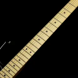 FENDER AMERICAN PERFORMER STRATOCASTER HSS MAPLE FINGERBOARD BLACK SAFE DELIVERY