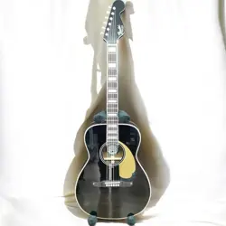 ACOUSTIC-ELECTRIC GUITAR CONCERT