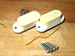 BOTTOM MUSTANG BULLET