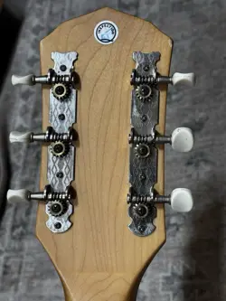 HELLCAT ACOUSTIC ELECTRIC