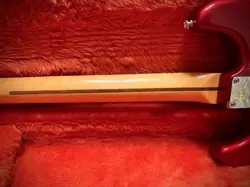 FENDER DAVID GILMOUR