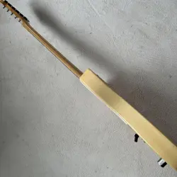 TELE SERIAL TELECASTER