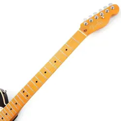 TELECASTER ULTRABURST MAPLE