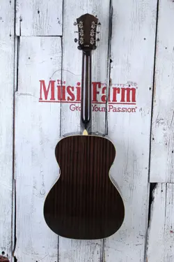 GUITAR MOONLIGHT BURST