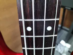 TRADITIONAL DESIGN USED