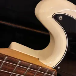 BASS GUITAR 1999-2002