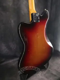 2009 AMERICAN VINTAGE