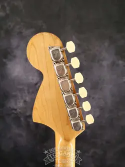 1970 MUSTANG COMPETITION